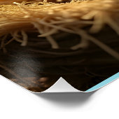 飼い葉桶の中の可愛い小羊 ポスター (コーナー)