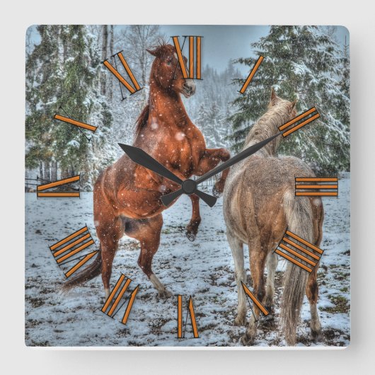 飼育ダン&パロミノ冬馬のウマ科の写真 スクエア壁時計 (正面)