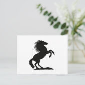 飼育ブラックスタリオン –  ポストカード (スタンド正面)