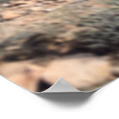 飼育ブルーローアンホースインザデザートアートプリント ポスター (角)