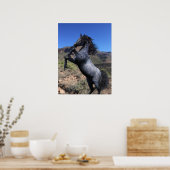 飼育ブルーローアンホースインザデザートアートプリント ポスター (キッチン)