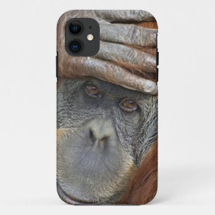 飼育下の雌のスマトラオランウータン iPhone 11 ケース