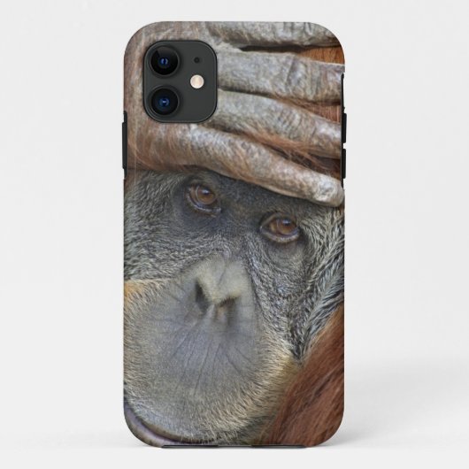 飼育下の雌のスマトラオランウータン Case-Mate iPhoneケース (裏面)