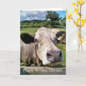 飼育動物かわいい牛 カード (黄色い花)