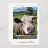 飼育動物かわいい牛 招待状 (正面/裏面)