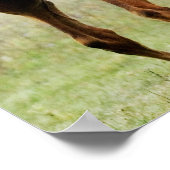 飼育子馬 ポスター (角)