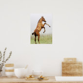 飼育子馬 ポスター (キッチン)