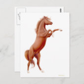 飼育栗の馬はがき ポストカード (正面/裏面)