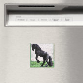 飼育用フライシア磁石 マグネット (インサイチュ (食洗機))