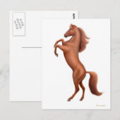 飼育用栗毛はがき ポストカード (正面/裏面)