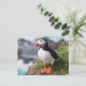 飼育用羽毛の大西洋の吹き付け ポストカード (スタンド正面)