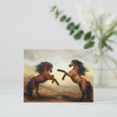 飼育用馬はがき ポストカード (スタンド正面)