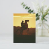 飼育馬のカウボーイ ポストカード (スタンド正面)