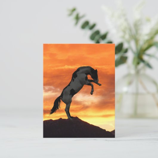 飼育馬はがき ポストカード (スタンド正面)