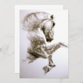 飼育馬招待状 招待状 (正面/裏面)