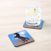 飼育馬 コースター (右側)