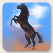 飼育馬 コースター (正面)