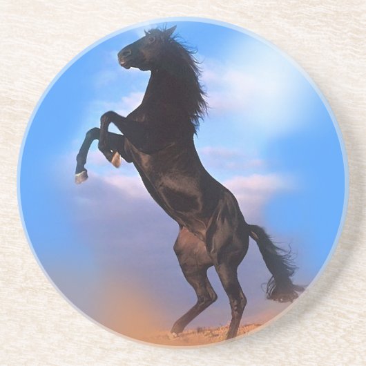 飼育馬 コースター (正面)