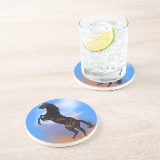 飼育馬 コースター (側面)