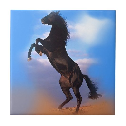 飼育馬 タイル (正面)