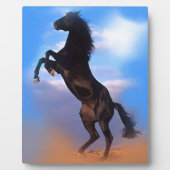 飼育馬 フォトプラーク (正面)