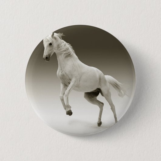 飼育馬 缶バッジ (正面)