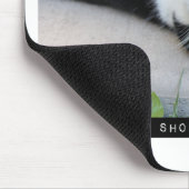 飽きさせない猫おもしろいモチベーション引用文 マウスパッド (コーナー)