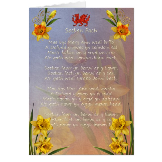 飾られるSospan Fachのラッパスイセン (正面)