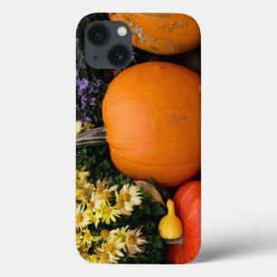 飾りカラフル秋のカボチャ iPhone 13ケース