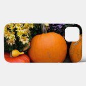 飾りカラフル秋のカボチャ Case-Mate iPhoneケース (裏面 (横))
