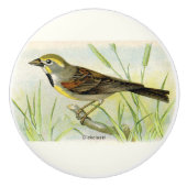 飾りチッセルバード セラミックノブ (正面)