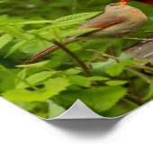 飾りポスター ポスター (角)