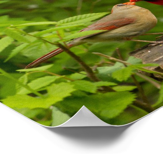 飾りポスター ポスター (角)