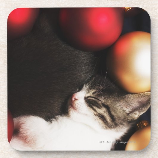 飾り付けで眠る子猫 コースター (正面)
