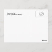 飾り豚 ポストカード (裏面)