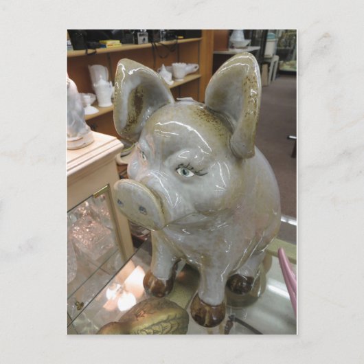 飾り豚 ポストカード (正面)