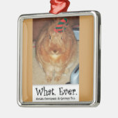 飾る何が非難のバニーウサギ メタルオーナメント (左)