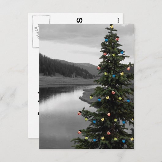 飾クリスマスツリーバイマウンテンレイク シーズンポストカード (正面/裏面)