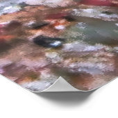 飾魚 ポスター (角)