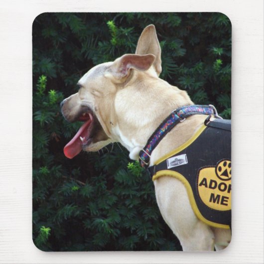 養子にする マウスパッド (正面)