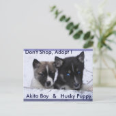 養子に入った犬 ポストカード (スタンド正面)