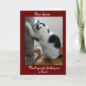 養子猫のクリスマス カード (正面)