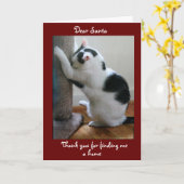 養子猫のクリスマス カード (黄色い花)