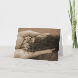 養子縁組おめでとう カード