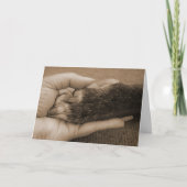 養子縁組おめでとう カード (正面)