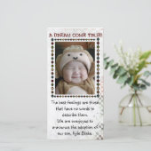 養子縁組の写真カード 案内状 (スタンド正面)