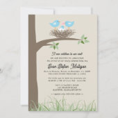 養子縁組の告知ベビー鳥の巣 招待状 (正面)