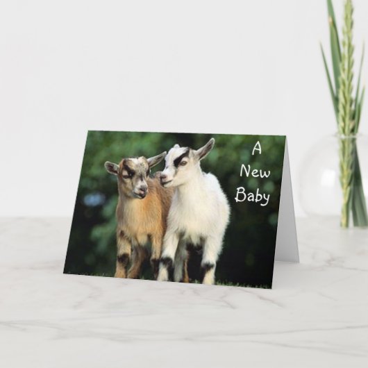 養子縁組 – お祝いを言うな！ カード (正面)