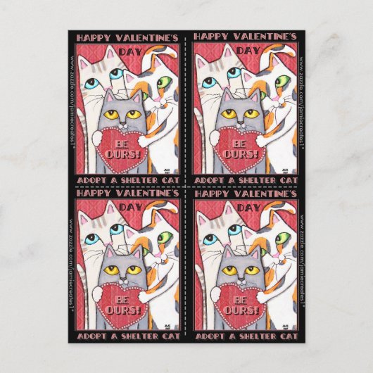 養子縁組/シェルター猫4 Valentines Flat Card シーズンポストカード (正面)