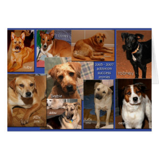 養育関係の成功stories2007